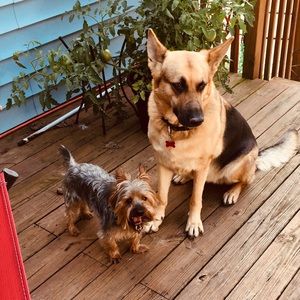 Meet your Posher, Kim